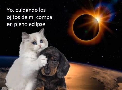 Memes eclipse solar 2023 en México HOY Telediario México