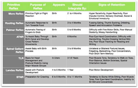 Primitive Reflexes And Developmental Delay