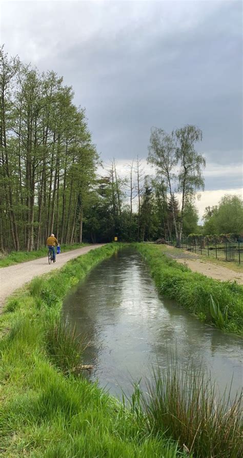 A Person Riding A Bike Down A Dirt Road Next To A Small River With