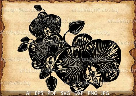 Vector ORCHID AI Eps Pdf Svg Dxf Png Jpg Download - Etsy