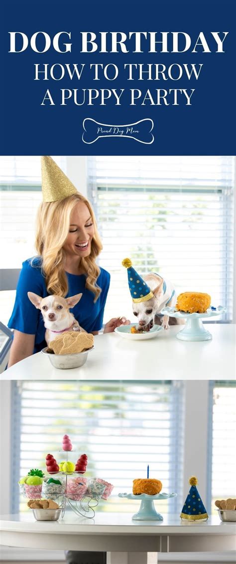 How To Throw A Fun Dog Birthday Party Proud Dog Mom Dog Birthday