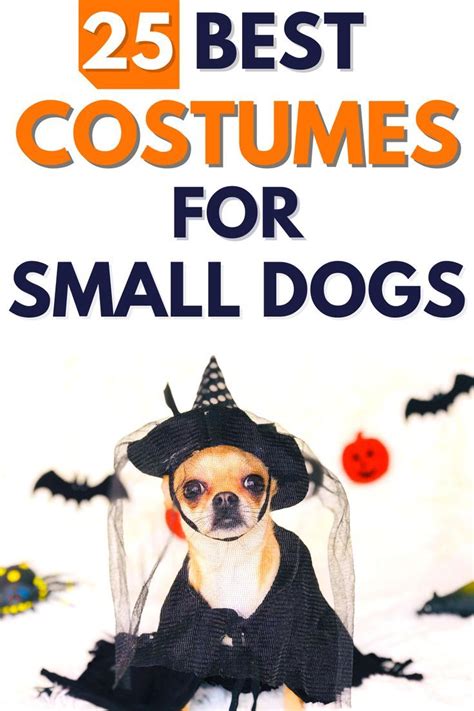 Funny Costumes for Small Dogs - The Pet Supply Guy | Dog costumes halloween small, Small dog ...