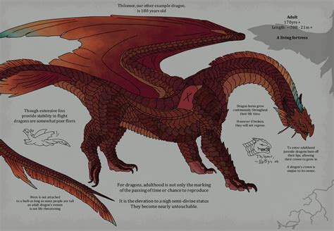 Dragon life cycle P.2 by 9blueTurtles on DeviantArt