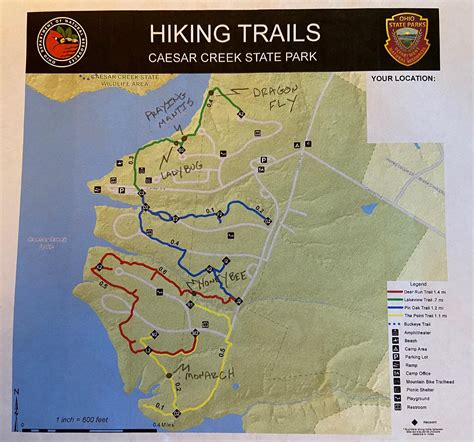 Caesar Creek State Park Trail Map Printable Online