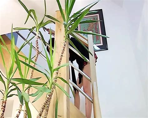 Free French Hardcore Porn Videos XHamster