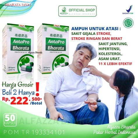 Jual Antapro Bharata Asli Obat Stroke Obat Stroke Ampuh Obat Stroke