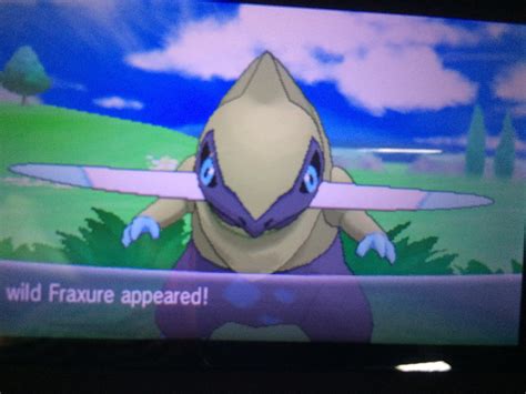 [6] Shiny fraxure quickly appeared! Phase one for my hunt on sliggoo. : r/ShinyPokemon