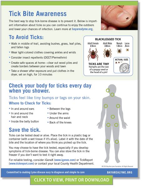 Tick Awareness Image - Bay Area Lyme Foundation