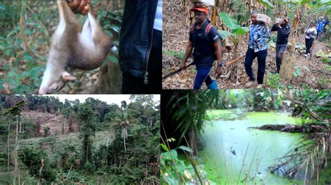 Mini Documentaire Sur La Foret De Nzadi Kongo Avec A S E J De Philemon