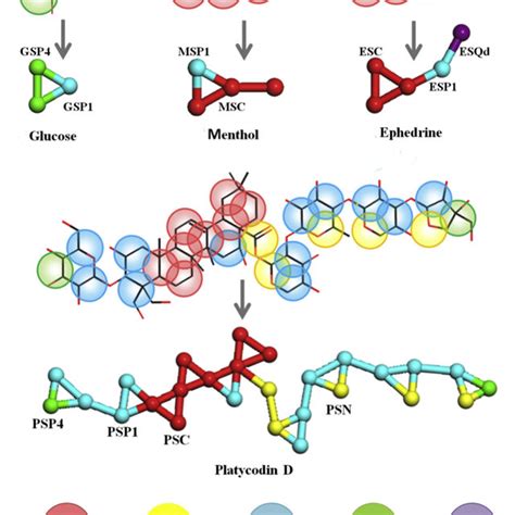 Platycodin D DPPC Radial Distribution Functions Specific To Each