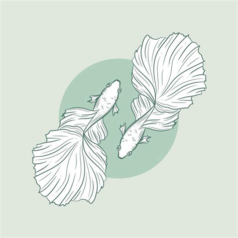 Fish illustration, peaceful drawing, betta fish 16182027 Vector Art at Vecteezy