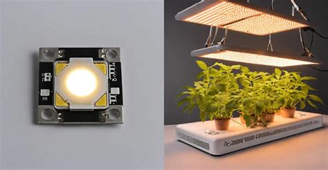 Quantum Board Vs Cob Led Grow Lights My Honest Breakdown