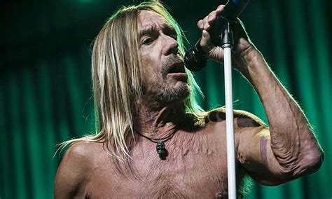 Iggy Pop To Release New Album Every Loser Soon Siachen Studios