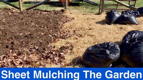 Sheet Mulching The Garden Youtube