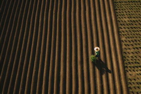 Farmer field, aerial view. AI | Free Photo - rawpixel