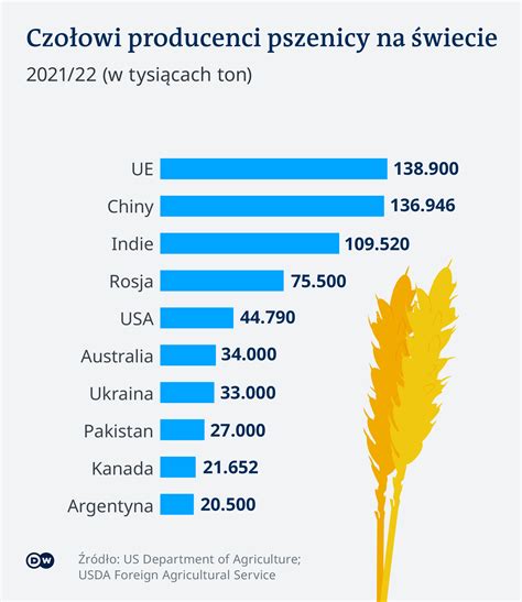 Kto importuje zboże z Rosji Swyft