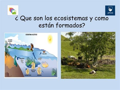 Ppt Que Son Los Ecosistemas Y Como Estan Formados Powerpoint Otosection