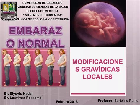 Modificaciones Gravidicas Locales Pptx