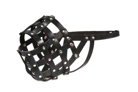 muzzle definition  meaning collins english dictionary