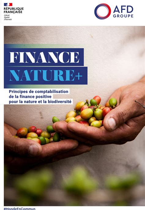 Finance Nature Principes De Comptabilisation De La Finance Positive