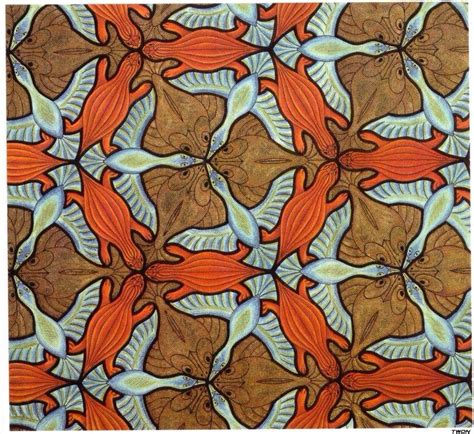 Birds Fish Turtles Lizards Escher Art Mc Escher Drawings