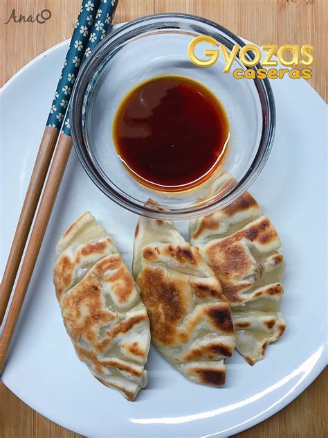 Gyozas Caseras Anacocinitas Recetas De Cocina F Ciles R Pidas Y