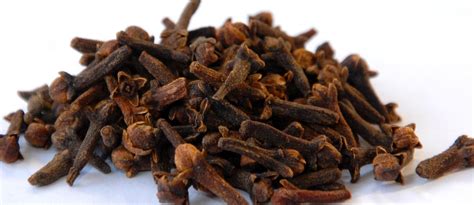 Cloves An Inexpensive remedy for dreadful tooth pain - Healthyliving ...