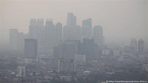 Inilah Cara Mengatasi Pencemaran Udara Dari Pakar Lingkungan