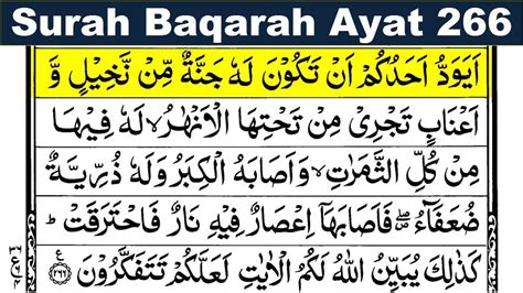 Surah Baqarah Ayat 266 Surah Baqarah Verse 266 Al Baqarah Ayat 266 Surah Baqarah Ayat Number