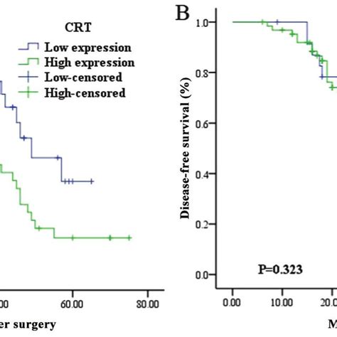 Immunohistochemical Staining For EVI 1and CRT In Triple Negative Breast