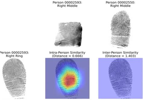 La Inteligencia Artificial Revela Que No Todas Las Huellas Dactilares