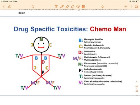 Chemotherapy For Lung Tumors Flashcards Quizlet