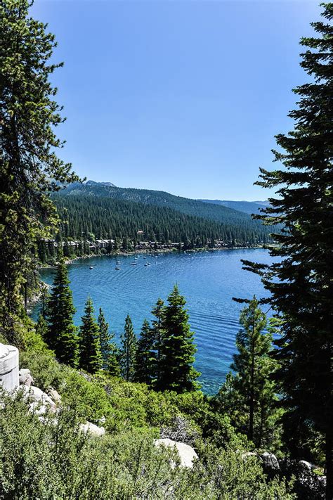 Lake Tahoe view Photograph by Vinicius Rocha - Fine Art America