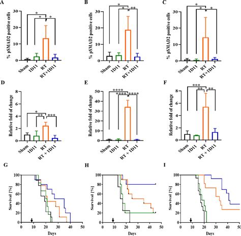 Figure 4 From Positron Emission Tomography Imaging Of Functional Tgf β