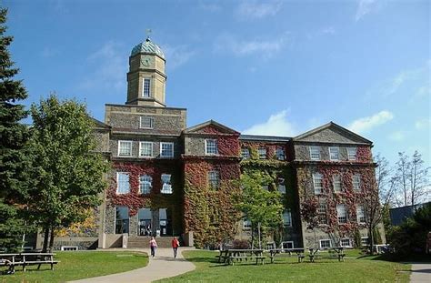 Dalhousie University, Halifax Courses, Ranking, Tuition Fees Fall 2024 ...