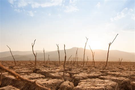 La Crisi Climatica Affama Il Mondo