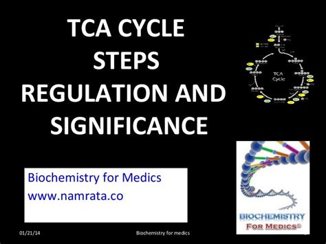 TCA cycle- steps, regulation and significance