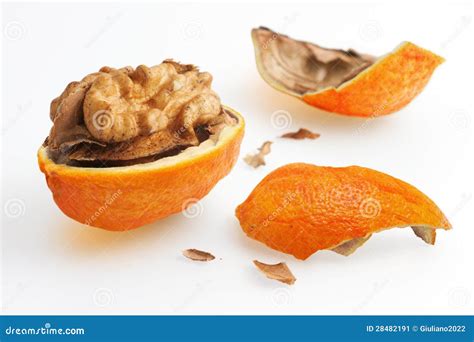 Nut With Orange Peel Stock Image Image Of Nutty Seed 28482191