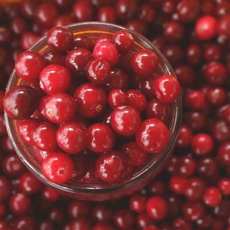 Best Cranberry Substitute: 11+ Great Alternatives To Use