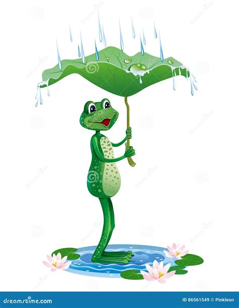 Frog And A Rain Cartoon Vector Illustration 29342252