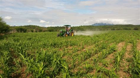 Cumplir Metas Y Objetivos Para El Campo Una Labor De Todos Y Todas Representación Agricultura