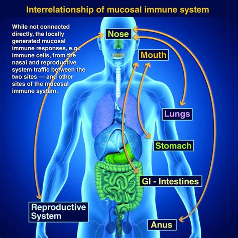 Taking vaccines to the next level via mucosal immunity | MDedge Pediatrics