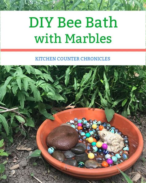 How To Make An Easy Bee Bath With Marbles In 2021 Gardening For Kids