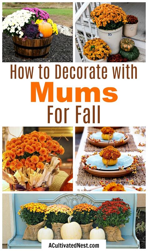 Decorating With Mums For Fall Floral Decor Ideas A Cultivated Nest