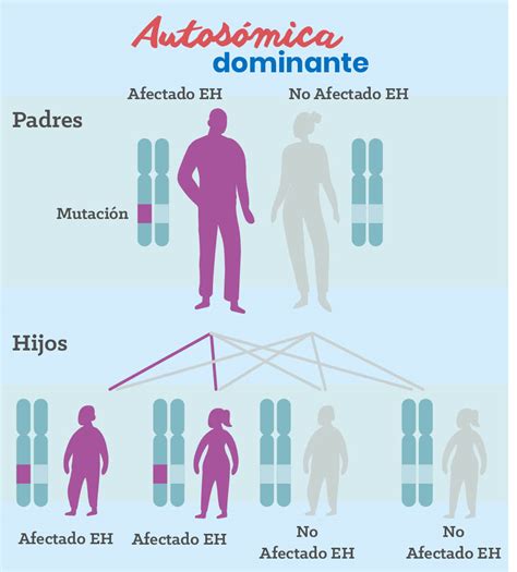 Causas De La Enfermedad De Huntington Roche Pacientes