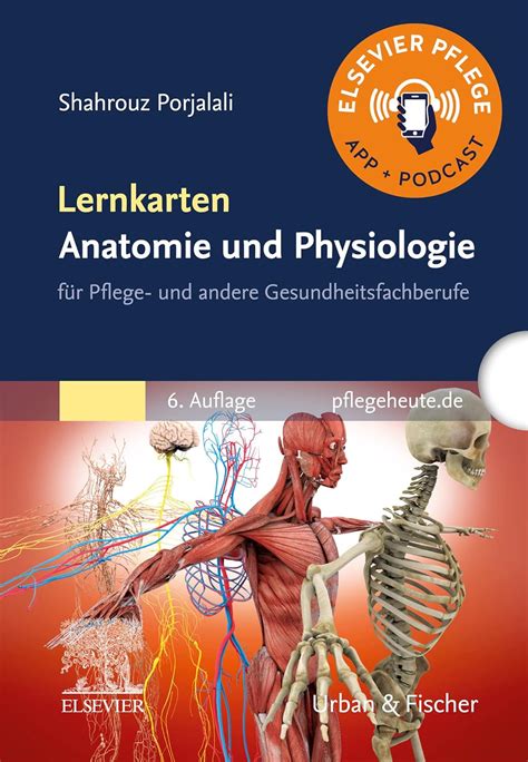 Amazon Lernkarten Anatomie Und Physiologie F R Pflege Und Andere