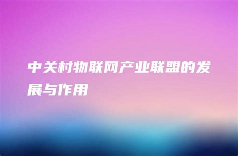 中关村物联网产业联盟的发展与作用 金智达软件