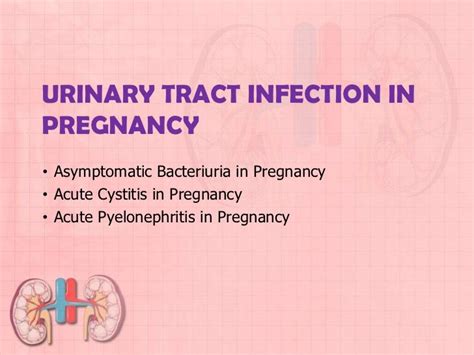 Uti In Pregnancy