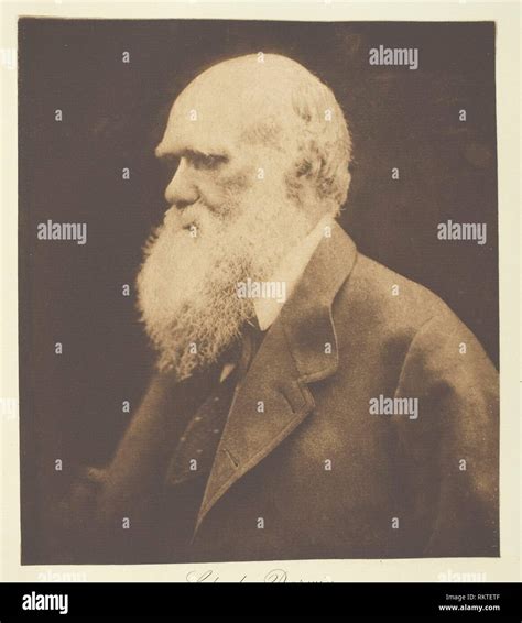 Charles Darwin 1868 Printed C 1893 Julia Margaret Cameron English