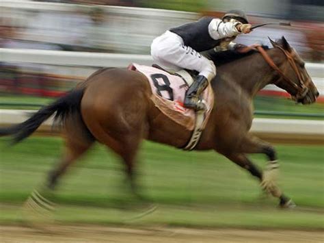 2009 Kentucky Derby - Photo 10 - Pictures - CBS News